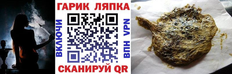 цены   Суджа  ГАШ Premium 