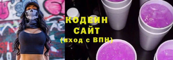 шишки Арсеньев