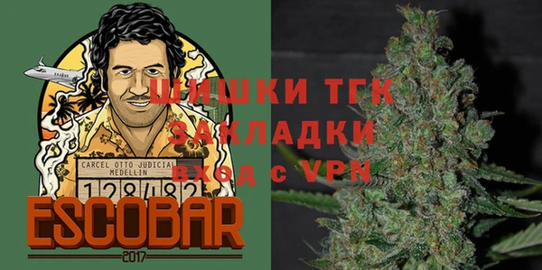 шишки Арсеньев