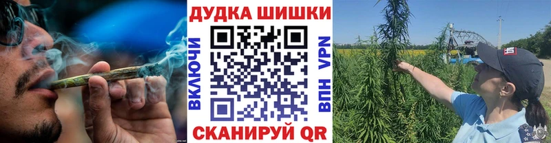 Конопля ГИДРОПОН Суджа